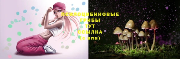 PSILOCYBIN Михайловка