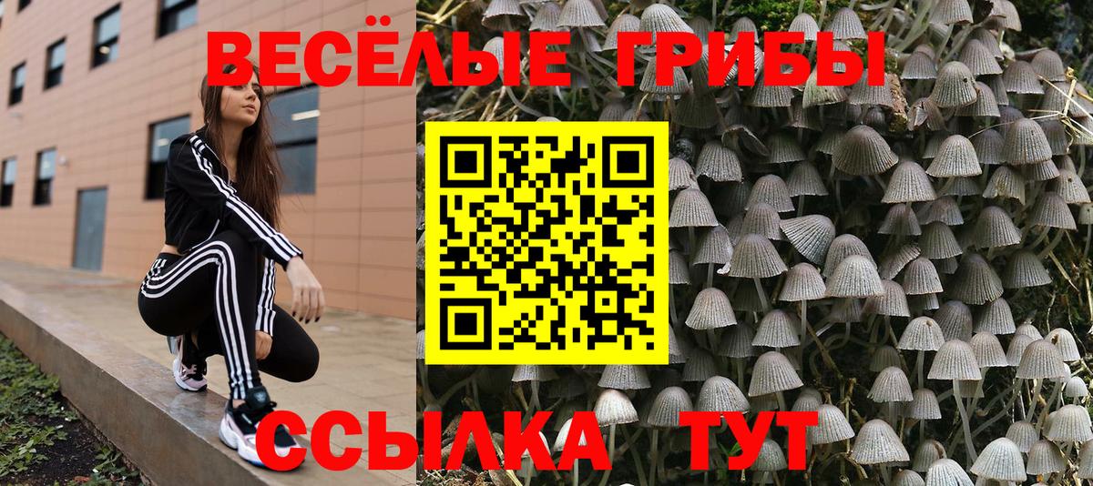 Галлюциногенные грибы мухоморы Алексин