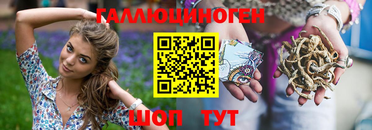 Алексин  купить наркоту  Вход с VPN  Псилоцибиновые грибы Cubensis 