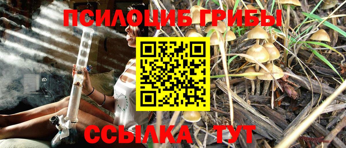 Галлюциногенные грибы MAGIC MUSHROOMS  Алексин  Псилоцибиновые грибы Magic Shrooms 