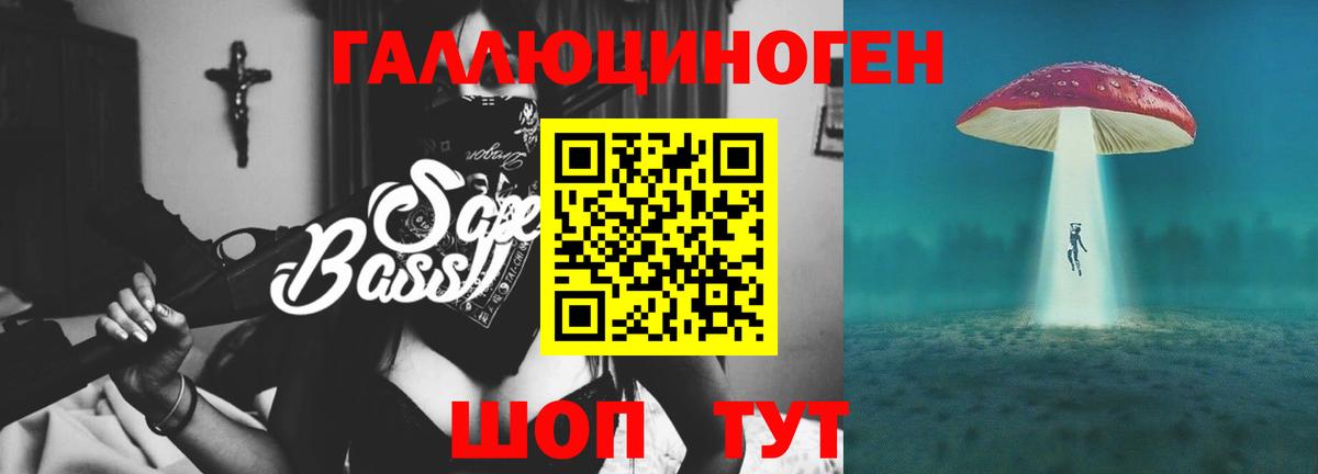 Галлюциногенные грибы Psilocybe Алексин