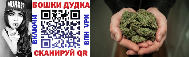 где купить Алексин Бошки марихуана семена
