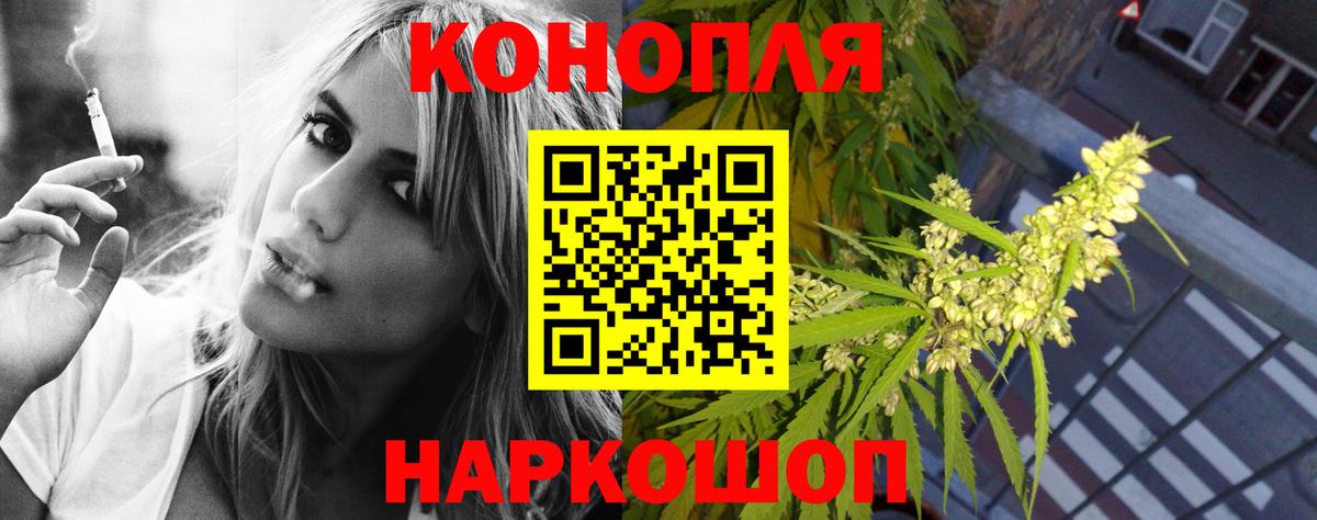 Алексин  Каннабис планчик  МАРИХУАНА планчик  Бошки марихуана тримм  Бошки Шишки индика  Вход с VPN 