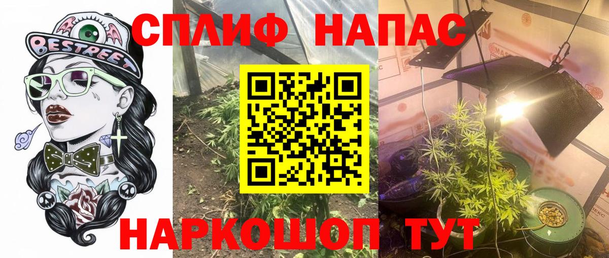 МАРИХУАНА ГИДРОПОН  Вход с VPN  Бошки Шишки Ganja  Канабис семена  Алексин 